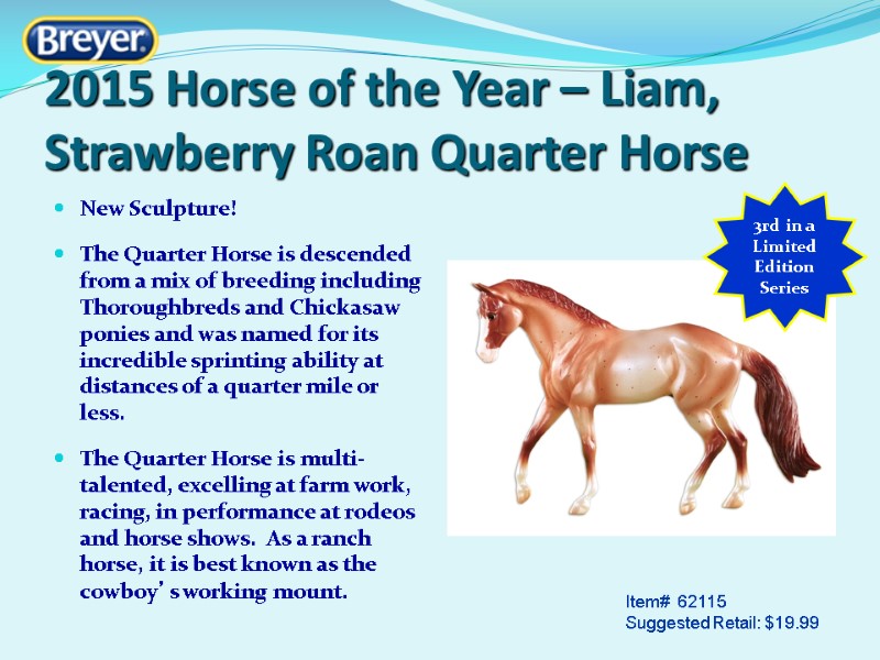 2015 Horse of the Year – Liam, Strawberry Roan Quarter Horse New Sculpture! 